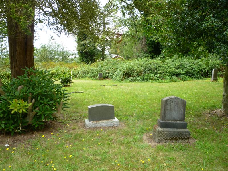 3. West View from Florence.JPG.jpg