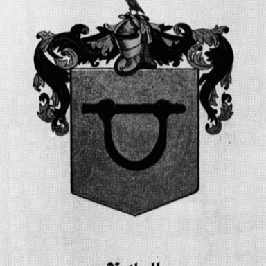 Voila_Capture 2015-09-20_08-07-19_PM.png