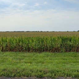 Jacob Marmon Johnson images