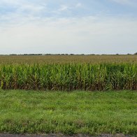 Jacob Marmon Johnson images