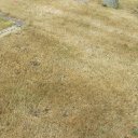 Howard Franklin Farlow - Find a Grave