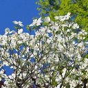 Christian Gissage - Find a Grave