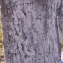 Lorenzo Dow Munselle - Find a Grave