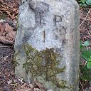 laura-h-plaster-find-a-grave-2.jpg