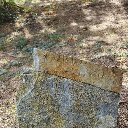 Samuel Boggs Miller Sr.