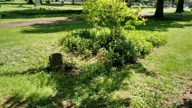 clara-plater-burial-plot.jpg