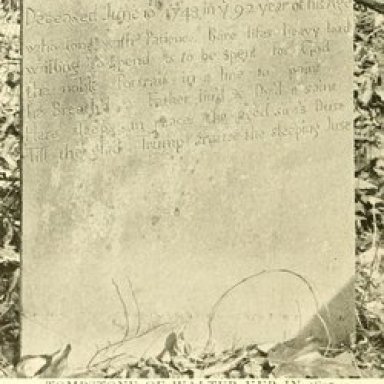 10794554_1447409418.jpg