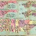 1870_Hardy_Map_of_Manhattan,_New_York_City_-_Geographicus_-_PoliticalDivisions-hardy-1870.jpg