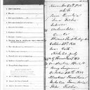 Isaac Frank Fountain & Milena Fisher - Marriage Record