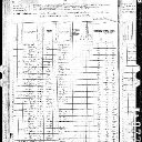 Lucinda E Mustoe - 1880 United States Federal Census
