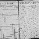 Charles Lucien Franklin & Ann Eliza Lott - 1865 New York State Census