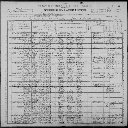Mary Amanda Griffin - 1900 United States Federal Census