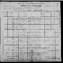 Miller Family - 1900 United States Federal Census