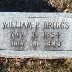 William Porter Briggs