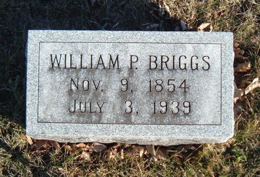 William Porter Briggs