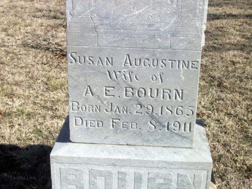 Susan Augustine Alexander