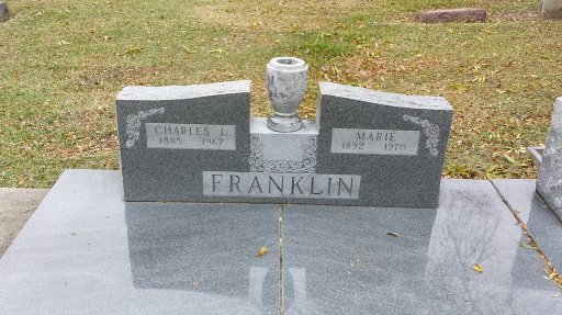 Charles Lucian Franklin