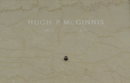Hugh Patrick McGinnis Jr.