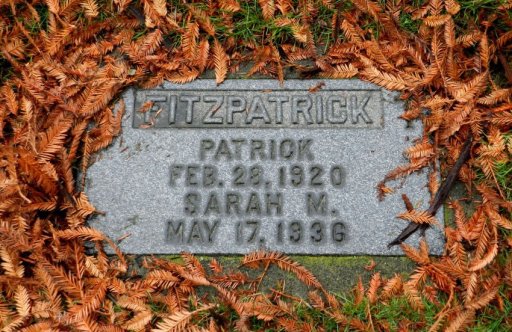 Patrick Fitzpatrick