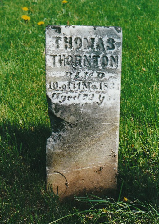 Thomas J Thornton
