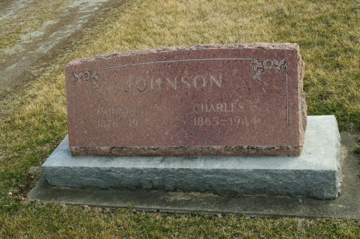 Charles S Johnson