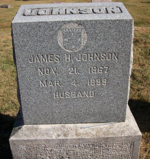 James H Johnson