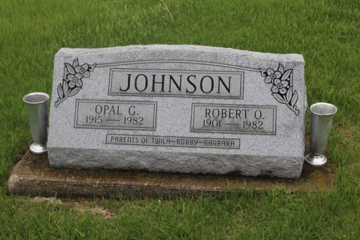 Robert O Johnson