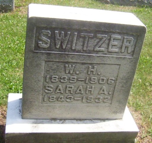 William Hamilton Switzer